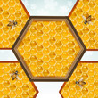 Bees and honeycombs