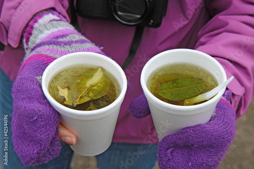 Photo: Two cups of coca tea in Ecuador Two cups of coca tea in Ecuador