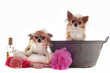 sortie de bain