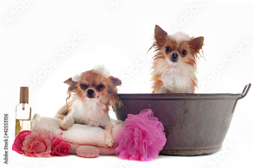 Photo: sortie de bain sortie de bain