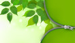 Nature background with green leaves and zipper.