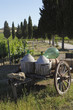 Foto: Siena, Val d'Orcia Siena, Val d'Orcia