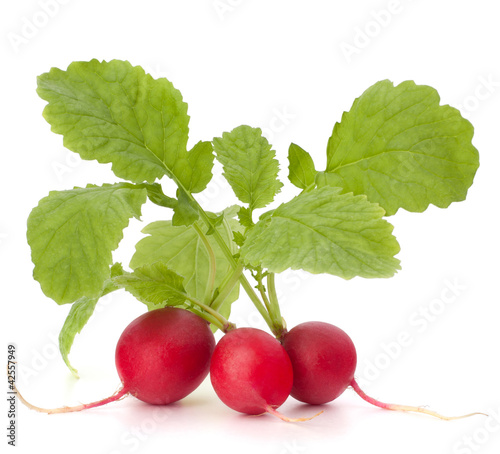 Photo: Small garden radish with leaves Small garden radish with leaves