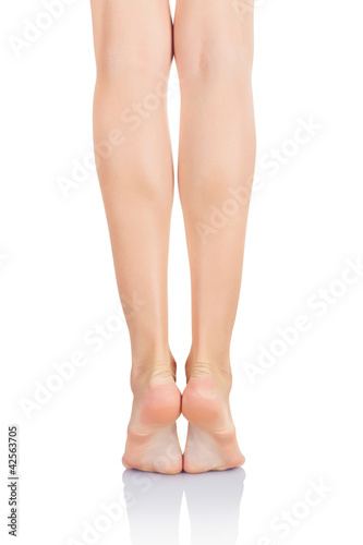 Photo: Beautiful woman's legs Beautiful woman's legs