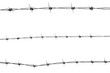 Photo: barbed wire barbed wire