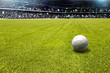 soccer field