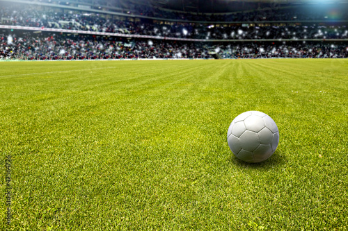 Photo: soccer field soccer field