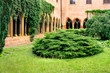 Foto: Klostergarten und Kreuzgang, Unterlinden, Colmar Klostergarten und Kreuzgang, Unterlinden, Colmar