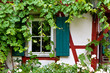 Zugewachsenes Fenster
