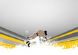 judo is throwing