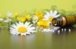 Globuli vor weißen und gelben Blüten