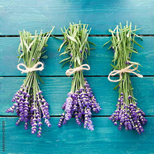Foto: Lavendel Lavendel
