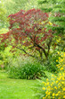 France, le Jardin de l Atelier in Perros Guirec