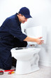 Professional plumber.