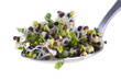 Brocoli sprouts on a spoon isolated on white background