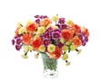 Carnations and daisies
