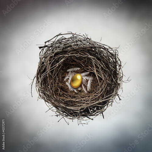 Photo: gold egg in nest gold egg in nest