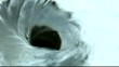 Agua