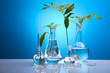 Biotechnology , Plant laboratory