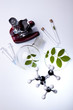 Biotechnology , Plant laboratory