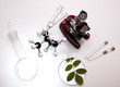 Plants and laboratory 