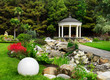 Spring flowers in the Asian garden