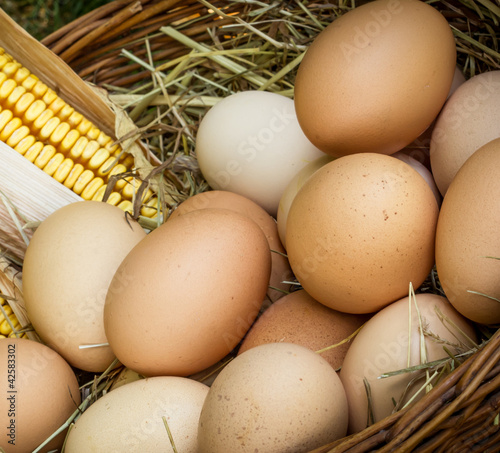 Photo: Organic eggs Organic eggs
