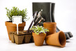 Foto: Garden boots with tool, plant Garden boots with tool, plant