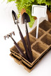 Foto: Garden concept Garden concept
