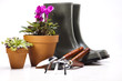 Foto: Garden boots with tool, plant Garden boots with tool, plant