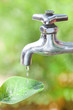 葉に落ちる水道の水