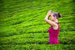 Foto: Praying woman in tea plantations Praying woman in tea plantations