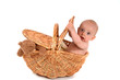 bébé dans un panier