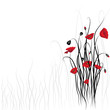 Poppy background