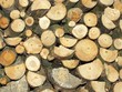 Foto: holz holz