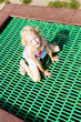 little girl trampoline