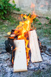 Feu de camp