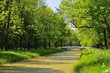 Petit pont sur la rivière.