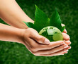 Photo: planète terre mains écologie planète terre mains écologie