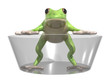 cute frog 2