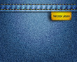 Vector jean fabric