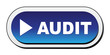 AUDIT ICON