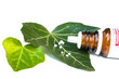 Homöopathische Medizin