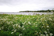 Ostseeküste (Schweden)