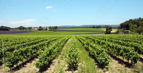 Photo: Provence 9 Provence 9
