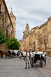Photo: Coche de caballos junto a la Mezquita de Córdoba Coche de caballos junto a la Mezquita de Córdoba