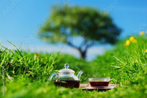 Photo: Natural tea Natural tea