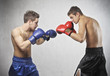 Boxe match