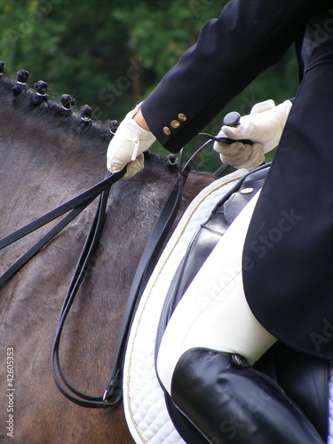 Photo: Dressage rider close up Dressage rider close up