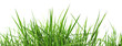 Grass